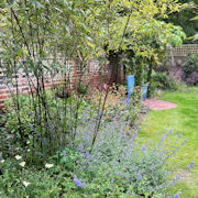 Side Garden Flower Beds