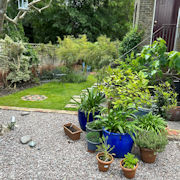 View of Side Garden